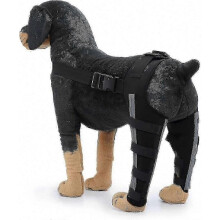 Soporte para la articulación de la pata trasera del perro para mayor estabilidad y comodidad