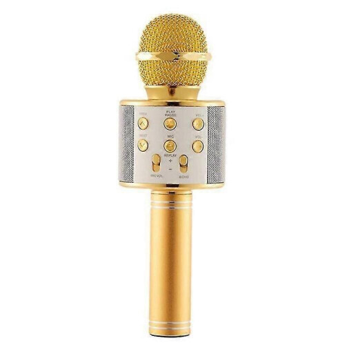 Microphone Bluetooth, microphone sans fil, microphone pour iPhone, microphone pour PC, microphone pour karaoké, microphone pour casque audio