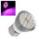 Full Spectrum LED Grow Light Bulb, 28 LEDs, E27, 6.5x5cm 3