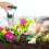 Durable Silver Green Bulb Transplanter for Heavy Soil Use 15