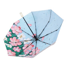 Automatischer Regenschirm, Regenschutz, UV-Schutz, für Damen,-04