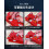 Woodworking Chamfer Plane with Adjustable Cutting Depth, MultiBlade Edge Planer Set Red 4