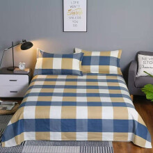 Bed Sheet Thickened Woolen Single Size 1 Piece Student Dormitory Bed Sheet