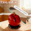 Shaped Kitchen Knife Sharpener with Secure Suction Cup Base, Hands Dual Grinding, Green 2