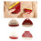 Rouleau à peluches créatif, outil efficace-Style Triangle Rouge 3