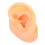 Human Ear Model Simulation Display Soft Silicone Teaching Tools Science And Education Model Real Skin Feel Realistic Texture Teaching Demonstration P 2