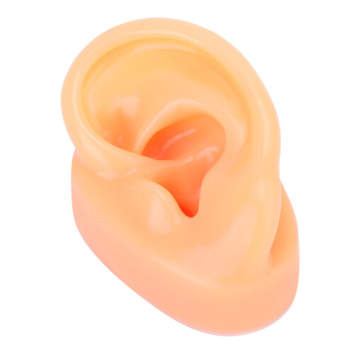 Human Ear Model Simulation Display Soft Silicone Teaching Tools Science And Education Model Real Skin Feel Realistic Texture Teaching Demonstration P 1