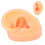 Human Ear Model Simulation Display Soft Silicone Teaching Tools Science And Education Model Real Skin Feel Realistic Texture Teaching Demonstration P 4
