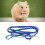 Deep Blue Hamster Leash with Bell, Nylon Rope, Adjustable Button 4