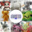 Ποικιλία μεγεθών μάτια ασφαλείας για amigurumi, υψηλής ποιότητας πλαστικές 8