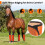 Mailles équines améliorées de prévention de moustiques de-Orange 3