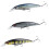 Floating Fishing Attractor With Natural Fish Motion 1