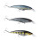 Floating Fishing Attractor With Natural Fish Motion 2