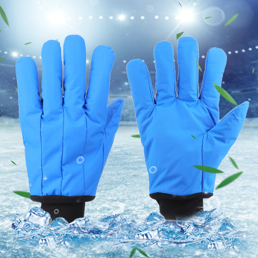 Cryogenic Protection Gloves -200C To -360C, Blue, 32Cm 4921379800076