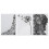 Dandelion Background Embossing Folder, Card Making Supplies Transform Your Craft Projects With Raised Embossed Designs, Durable Plastic Ideal For 1