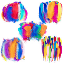 Multicolor Feather Assortment For Wedding Decorations, Colorful Feathers With Assorted Colors Are Ideal For Diy Craft Projects And Feather Jewelry