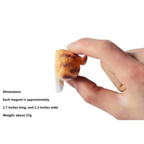 Διακοσμητικοί μαγνήτες για ψυγείο, αστείοι μαγνήτες γάτας, σκύλου, φιλική προς το 2