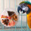 Jouet de recherche de nourriture pour oiseaux, distributeur de 3