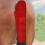 Machine Washable Equine Tail Wrapperd Gentle Cushioning and-Red 6