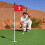 4Pcs 1-4 Practice Numbered Golf Flag Oxford Cloth Small Putting 4