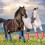 Breathable Fly Boot for Horses Fine-Blue Blue Blue Blue Blue 2