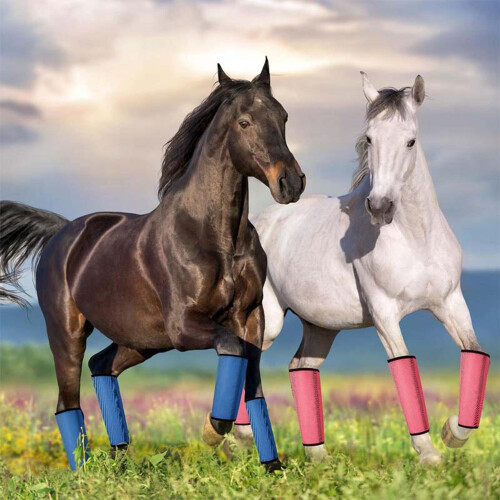 Breathable Fly Boot for Horses Fine-Blue Blue Blue Blue Blue 1