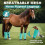 Breathable Fly Boot for Horses Fine-Blue Blue Blue Blue Blue 6