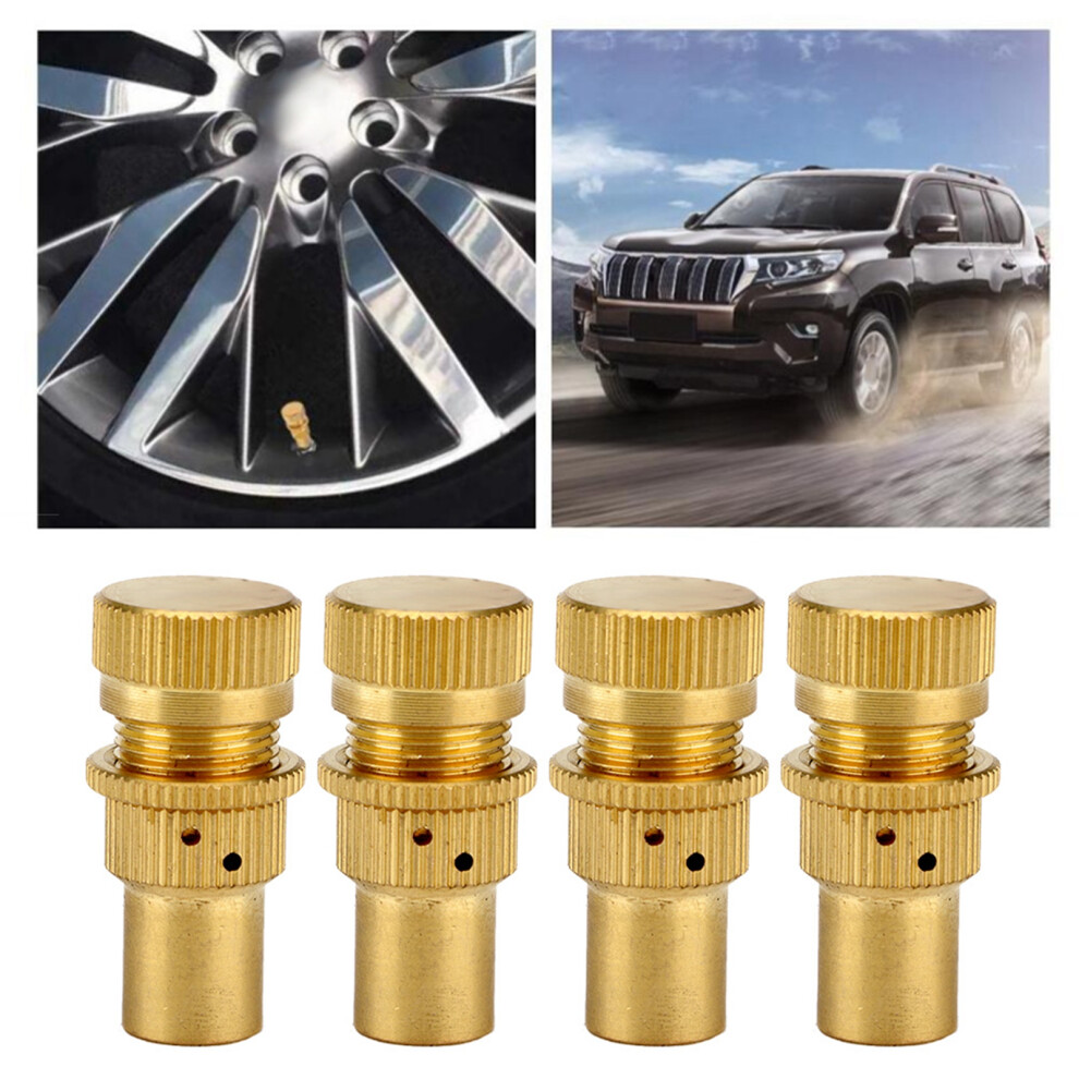 4Pcs Auto Car Alloy Tire Pressure Relief Valve Deflators Bleeder Valve Set 6901379849709
