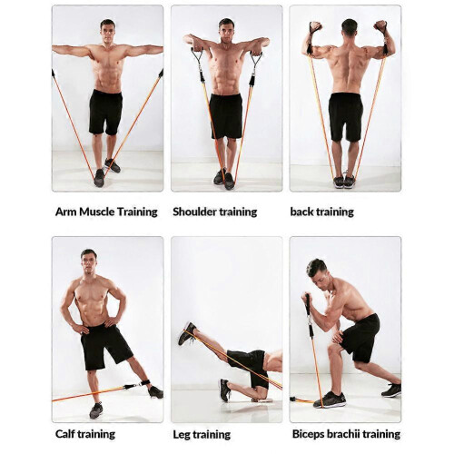(150 Lbs) Elastic Exercise Bands Multipurpose Exercise Training Expander for Indoor Gym 2