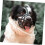 Adjustable Soft Silicone Dog Mouth Cover Muzzle, Breathable Muzzle Design, Drinking Allowed, Comfortable Fit 2