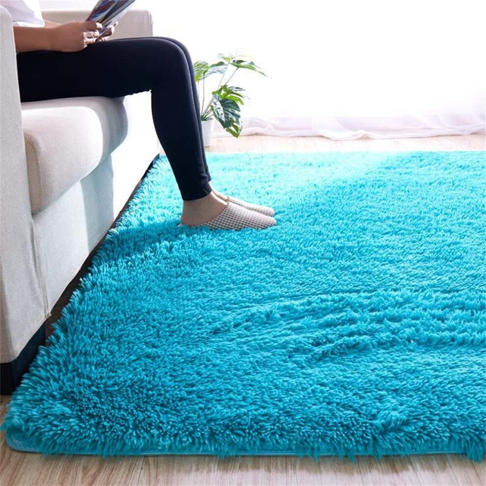 Shaggy Floor Area Rug 120 X 200 Cm Plush Faux Fur Nursery Kids Indoor Antislip Living Room Carpet Blue