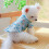Petits chiens T-Shirt chiots chemise décontractée à deux-M 4