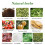 (36pcs) 18-54pcs Green Coffe Green Slim Coffee with Ganoderma Control Weight-Loss 3