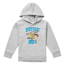 (12-13 Years,Athletic Heather)Toy Story Childrens/Kids Birthday Boy Woody & Buzz Lightyear Heather Hoodie
