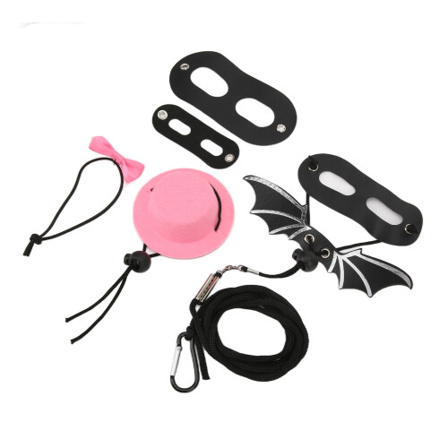 Adjustable Reptile Harness & Leash Pink Hat Set for Small Pets