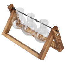 Holzständer Glas-Pflanzenterrarium mit 3 Flaschen für Heim- und Bürodeko