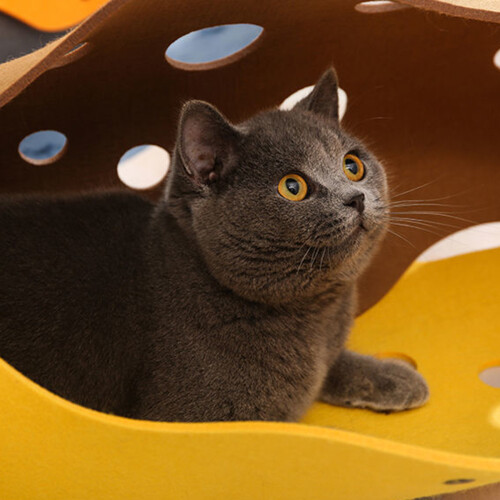 Cats Tunnel Foldable Pet Cat Toy Pet-Moonlight gray plus  4mm 1