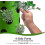 Upside Down Tomato & Herb Planter 3 Gallon 2 Pack Outdoor Hanger 25-26 4