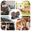 USB Rechargeable Dual Head Car Cooling Fan with 360 Adjustable Angle and Two Speed Control 3