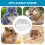 Hamster Sand Bath Box with SplashProof Design and Spacious Digging Area, Cute Cat Ear Container 3