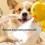 Efficient Pet Foaming Machine Soap Dispenser Device Rechargeable Tool Dog Cleaning Foam Machine Foamer Multicolor 2