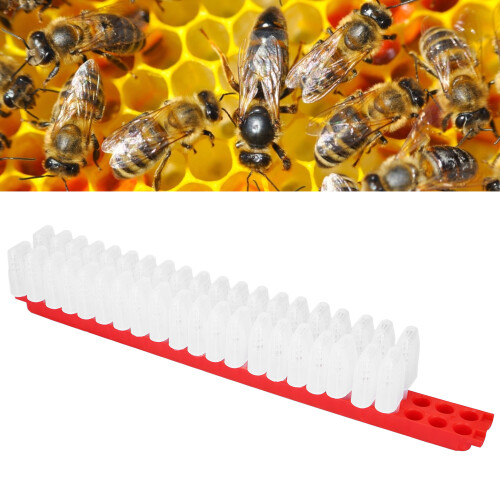 Plastic Bee Queen Cage Kit 42.3x3.5cm Beekeeping Accessories 2