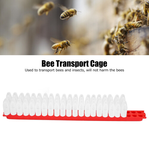 Plastic Bee Queen Cage Kit 42.3x3.5cm Beekeeping Accessories 1