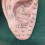 Ear Acupuncture Model Professional Reflexology Acupoint Learning Display Laboratory Supplies 4