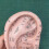 Ear Acupuncture Model Professional Reflexology Acupoint Learning Display Laboratory Supplies 2