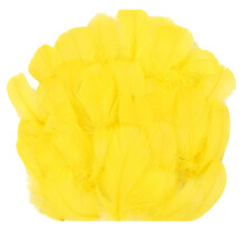100 Colorful Craft Feathers for Dream Catchers, Earrings, Wedding and Party Decor Yellow