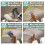(30ML) Auto Headliners Cleaner Sprays Friendly Active Molecular Technology Vehicle Interior Cleaner Quick Drying Non Toxic Multicolor 4