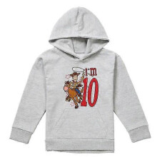 (12-13 Years,Athletic Heather)Toy Story Childrens/Kids I'm 10 Woody Heather Birthday Pullover Hoodie