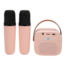 Multifunktionale Bluetooth Karaoke-Maschine mit 2 kabellosen Mikrofonen, Pink