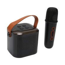 Karaoke-Maschine mit RGB-Beleuchtung, tragbares Bluetooth-Stereo und Mikrofon, schwarz